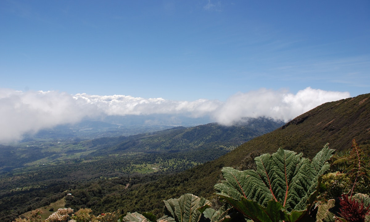 Cloud Forest Jungle Tours Costa Rica