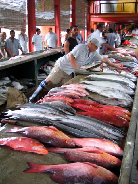 Male fish market Adventugo.com