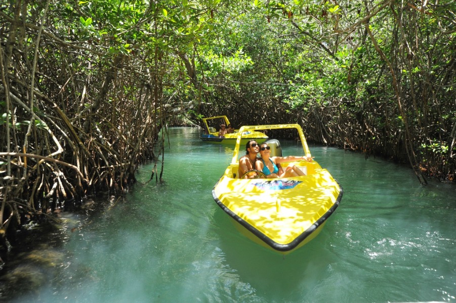 cancun mangrove boat tour