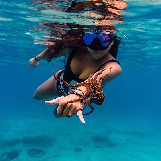 Snorkelling Tours