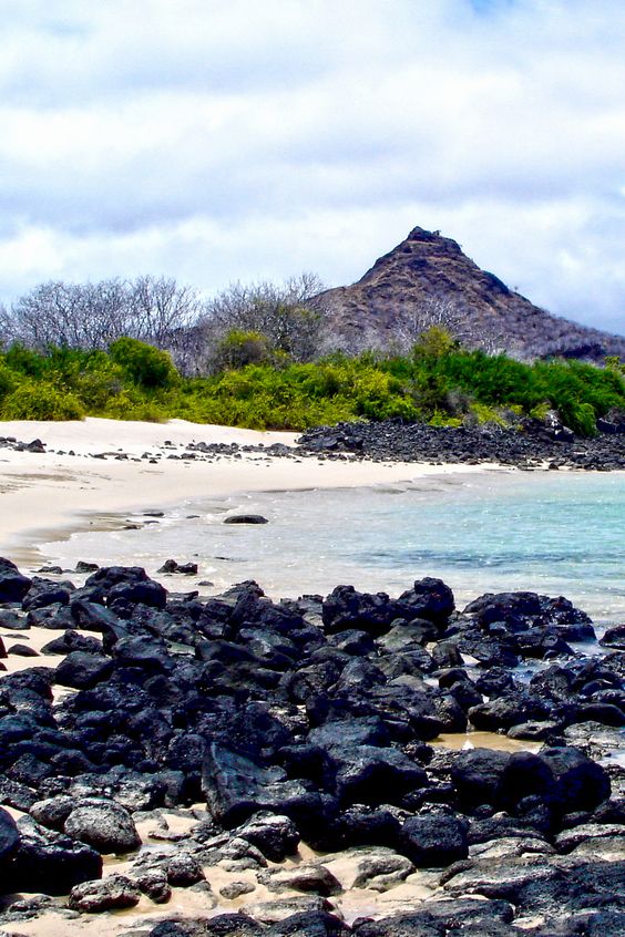 Dragon Hill Galapagos