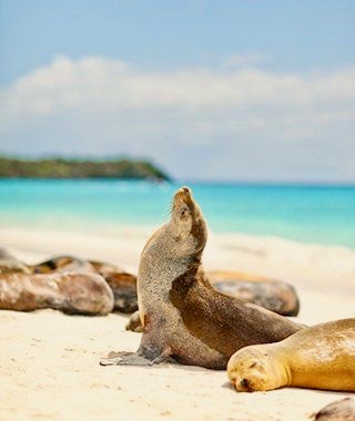 Galapagos beach