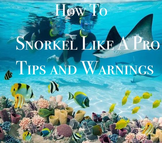 How to Snorkel Like a Pro