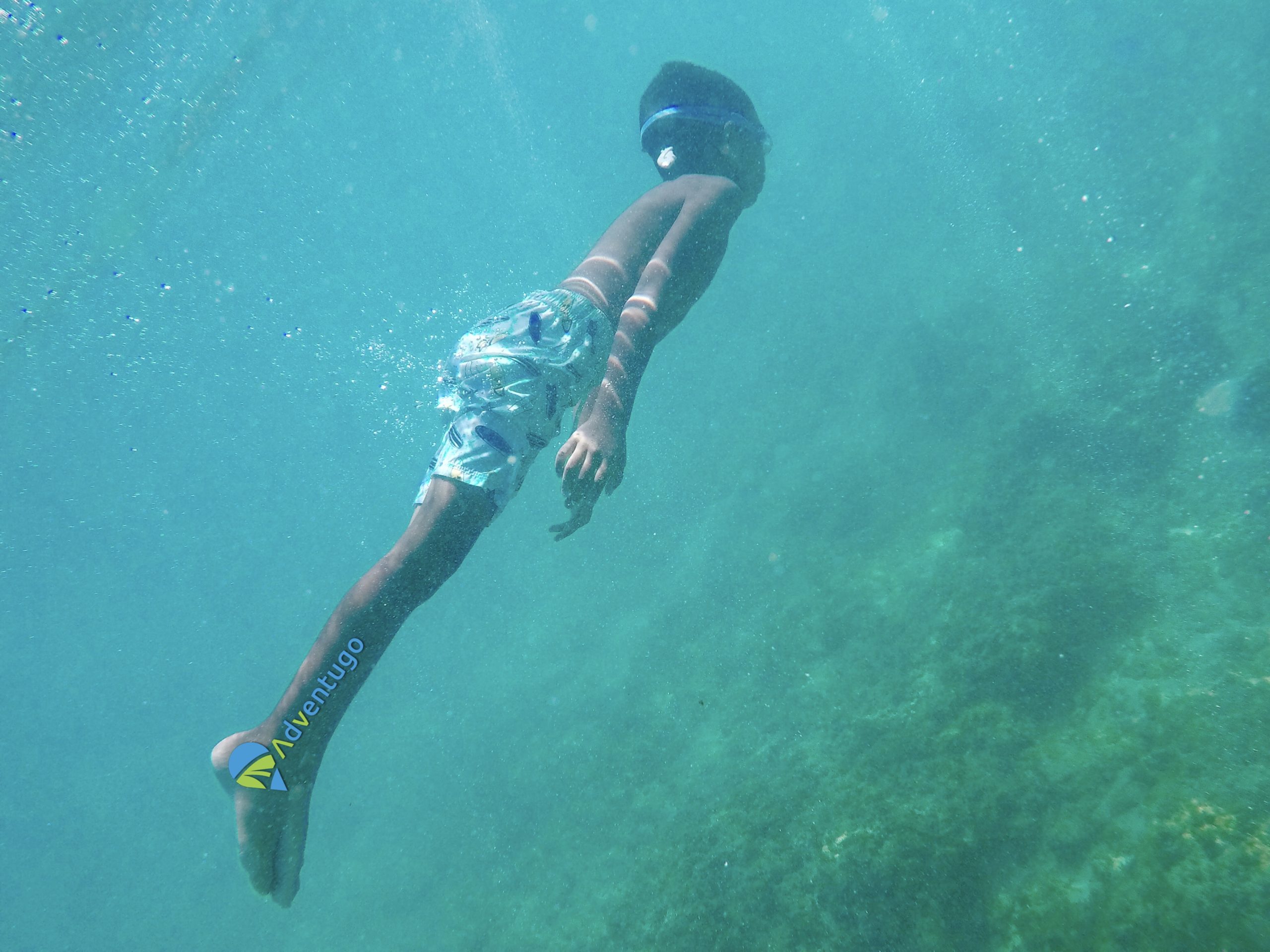 Snorkelling Waikiki Beach, Oahu