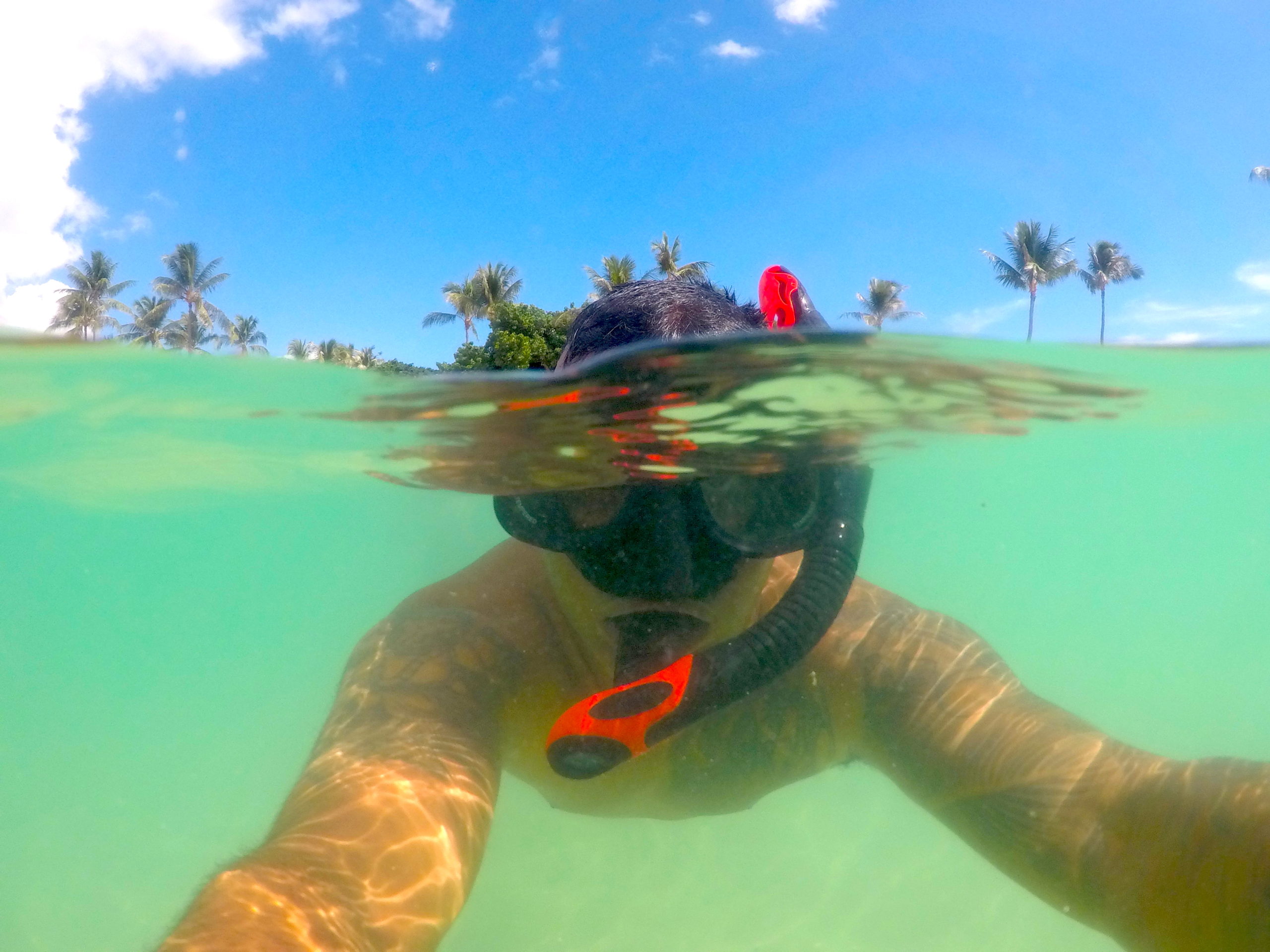 Snorkelling in Oahu