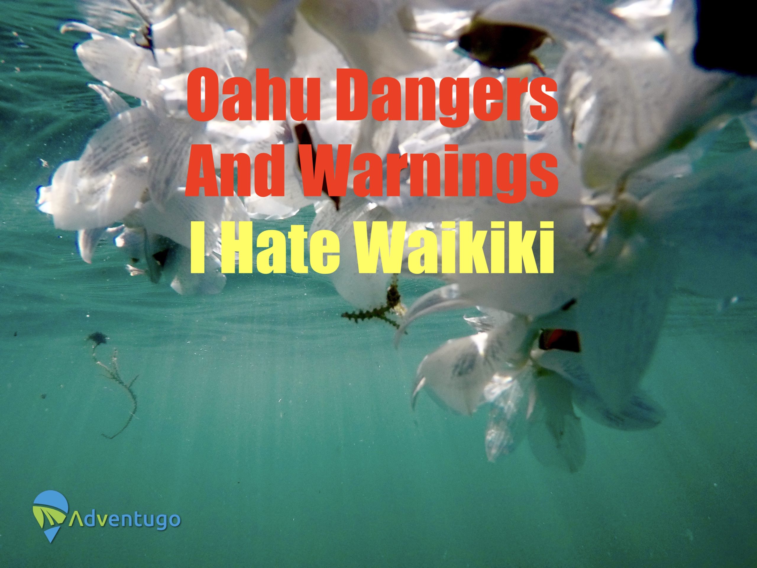Oahu Dangers and Warnings, Why I hate Waikiki