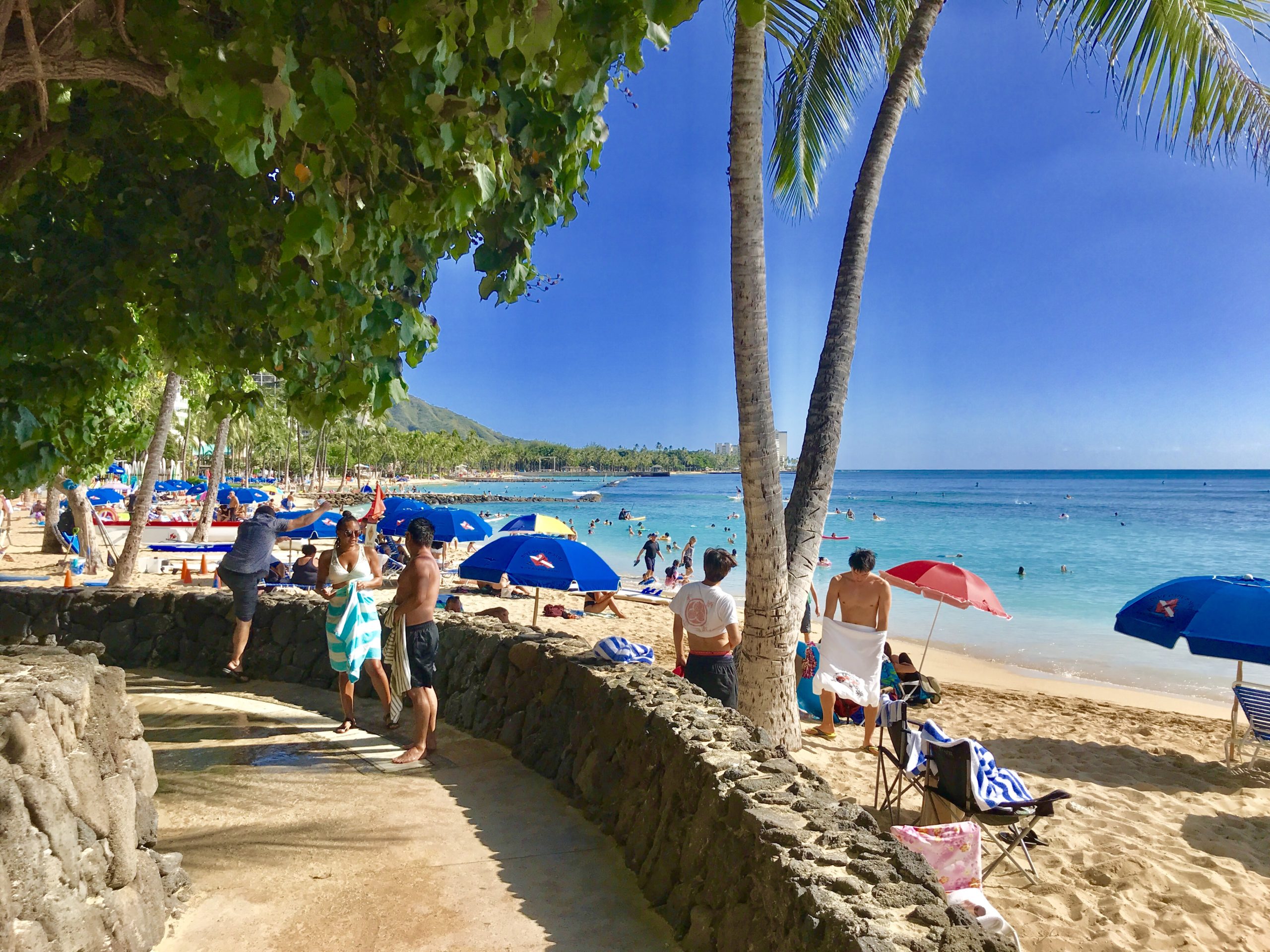 Waikiki Beach Pic