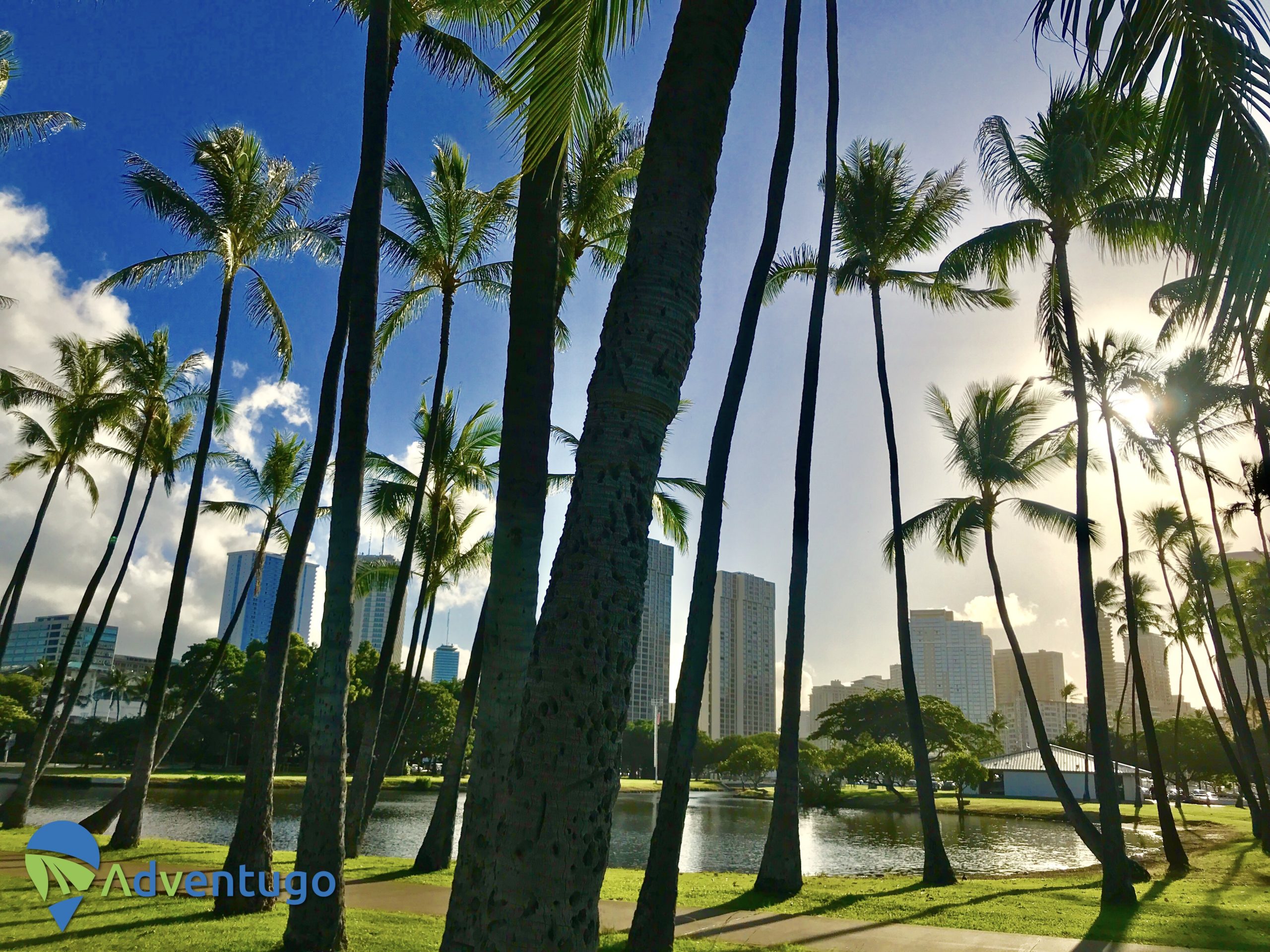 Beautiful Waikiki Skyline
