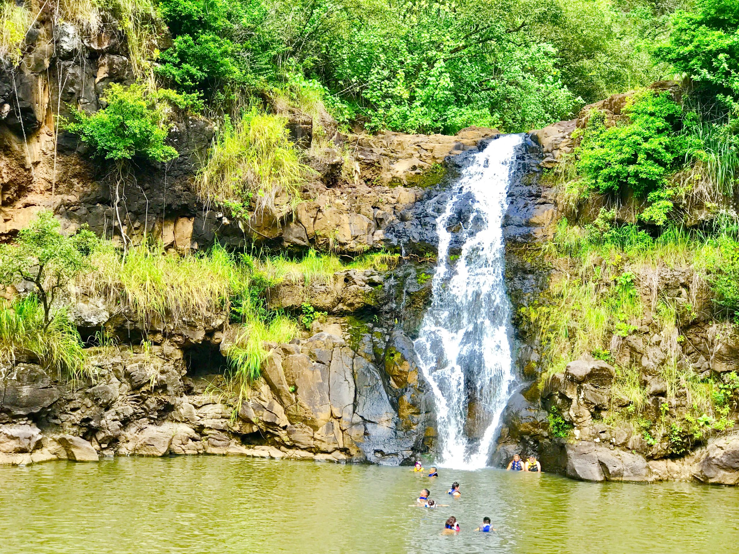 Waimea falls, Oahu North shore